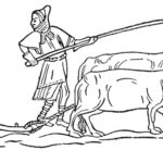 Lavoro agricolo in una grangia. Incisione da una miniatura medievale.