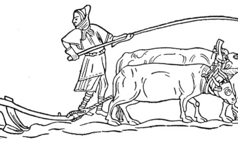 Lavoro agricolo in una grangia. Incisione da una miniatura medievale.