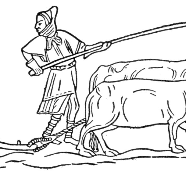 Lavoro agricolo in una grangia. Incisione da una miniatura medievale.